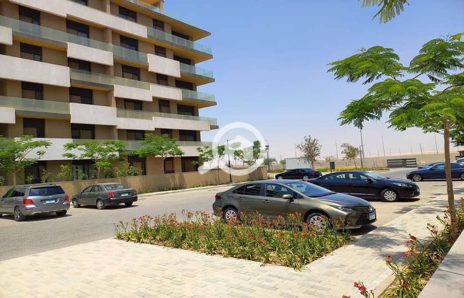 8 441603686_8391578247536368_1017819515752541833_n. jpg