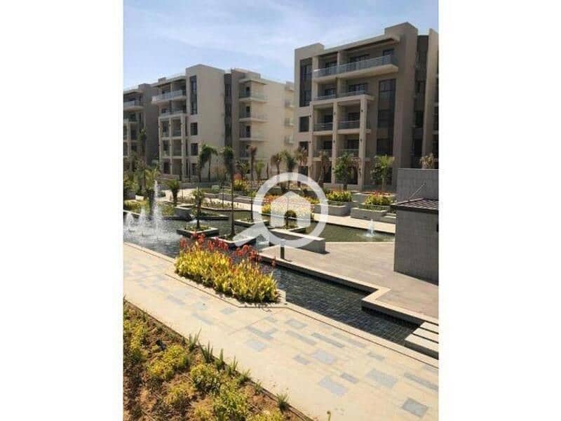 7 4464986-56219o. jpg