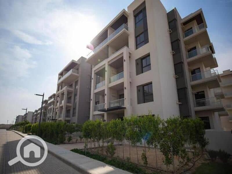 9 4498378-ff1e3o. jpg