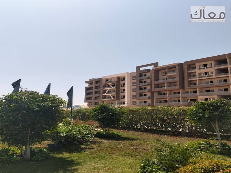 15 66bcbc2e-d45d-471c-baac-ec7ee5b4999c. jpg