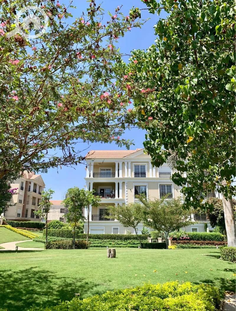 9 565129709_1349101036827096_8231065816621882942_n - Copy. jpg