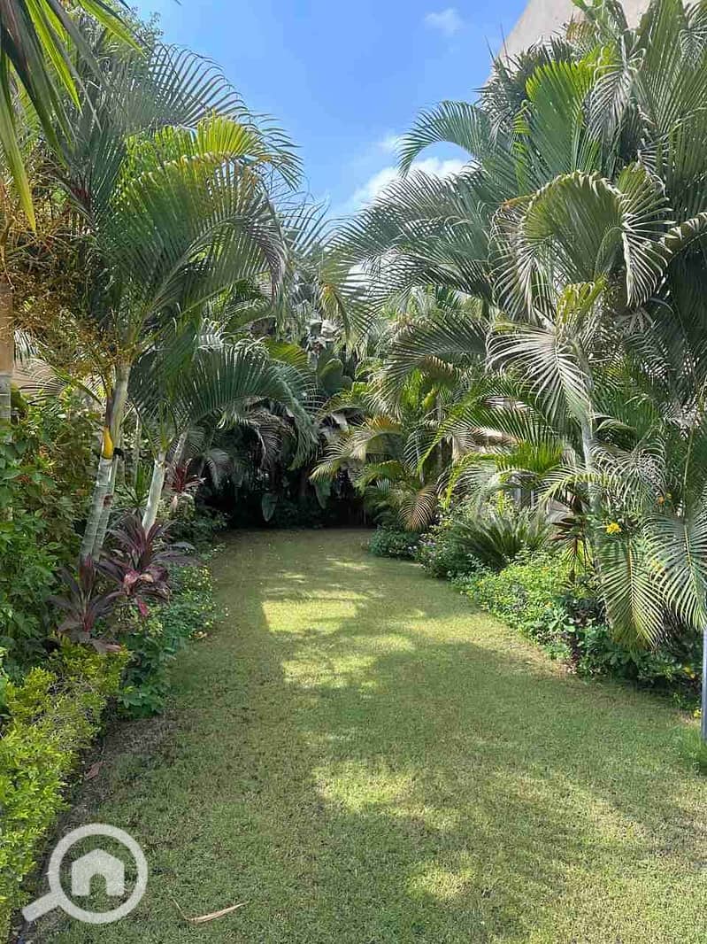 6 IMG-20250923-WA0033(1). jpg