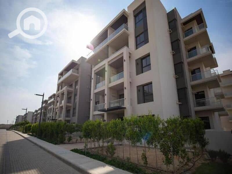 11 4498378-ff1e3o. jpg