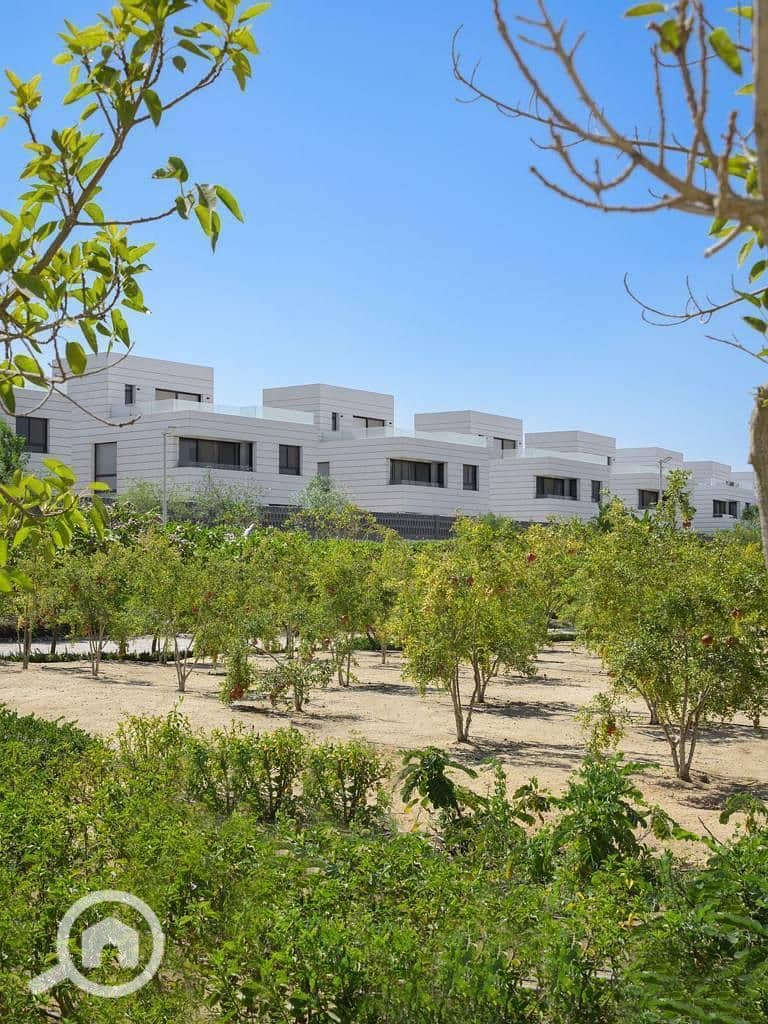 12 WhatsApp Image 2025-11-09 at 15.06. 12_ea42e044. jpg