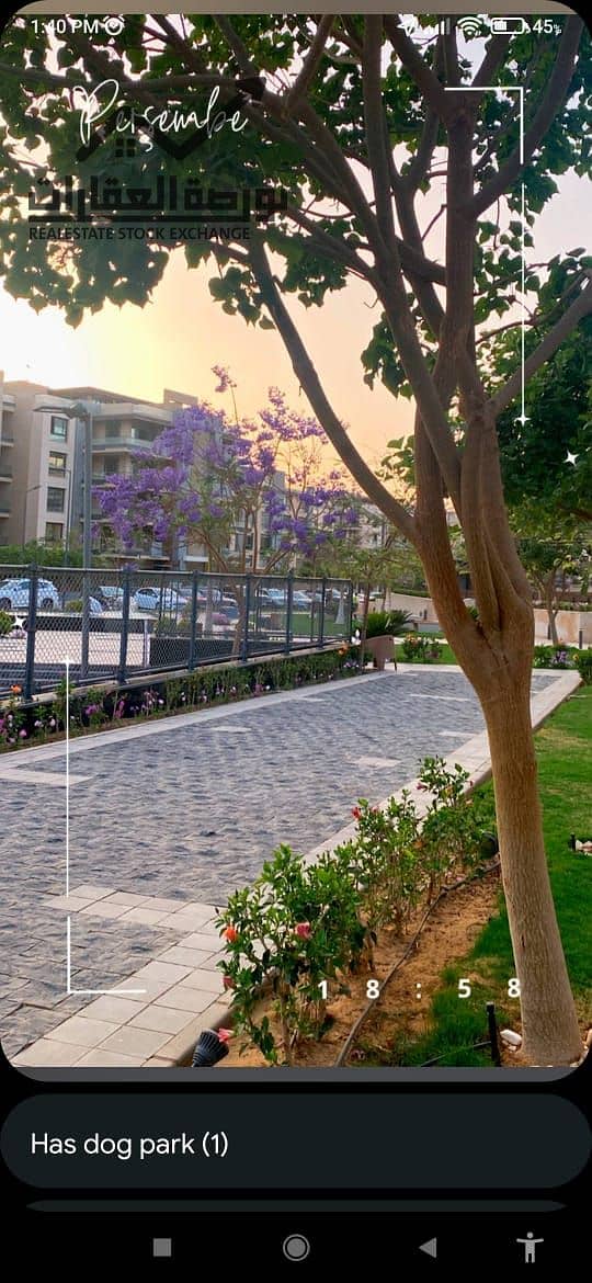 3 001d8769-f181-400a-9ca9-4f3c4ef938fe. jpg