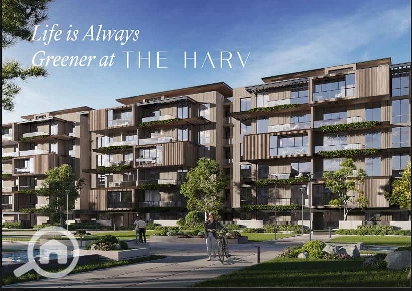 2 IMG-20250727-WA0051. jpg