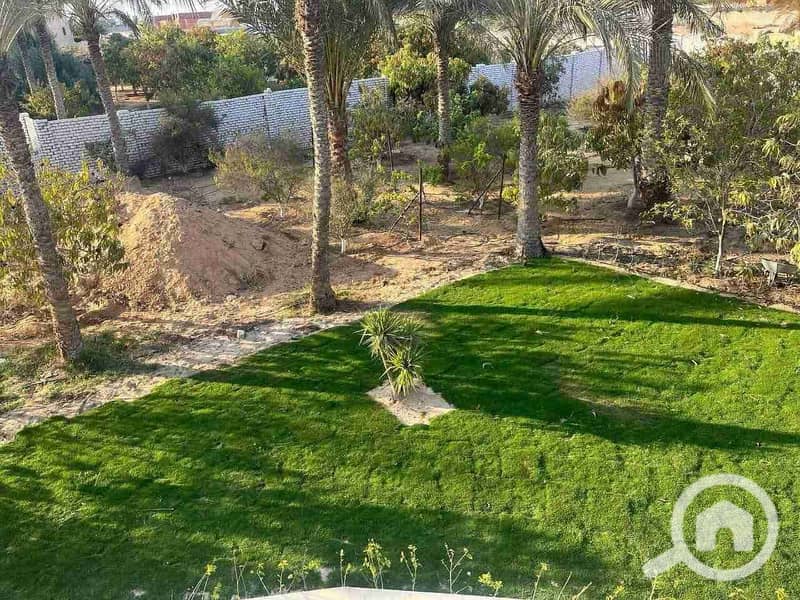 331884. jpg 331884. jpg