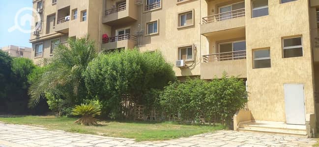 2 Bedroom Apartment for Sale in Madinaty, Cairo - WhatsApp Image 2025-11-11 at 10.43. 08 AM. jpeg