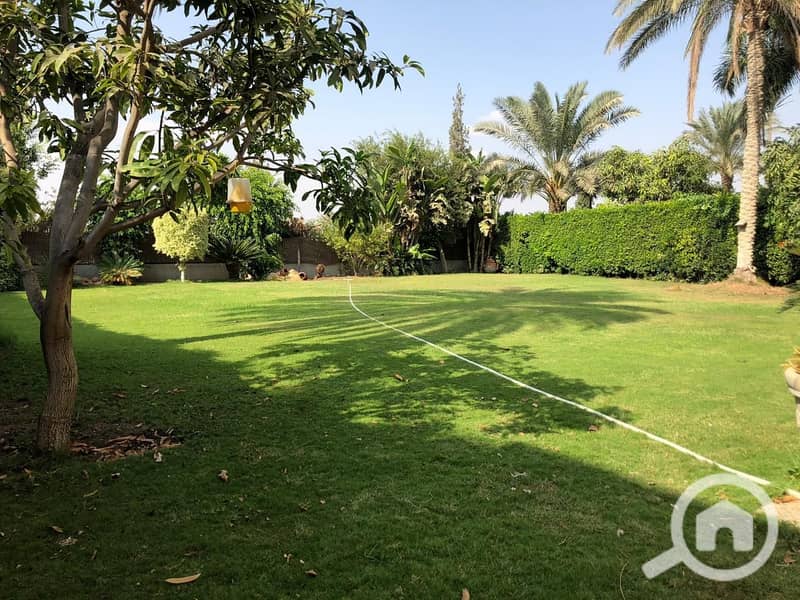 9 IMG-20240826-WA0239. jpg