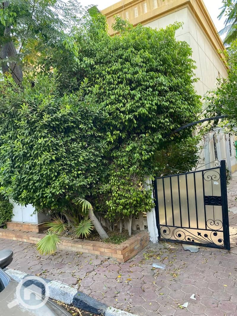 2 WhatsApp Image 2025-11-11 at 11.33. 50 AM. jpeg