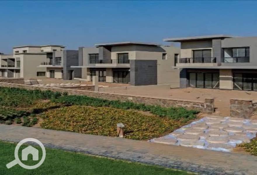 2 7832746-5e848o. jpg