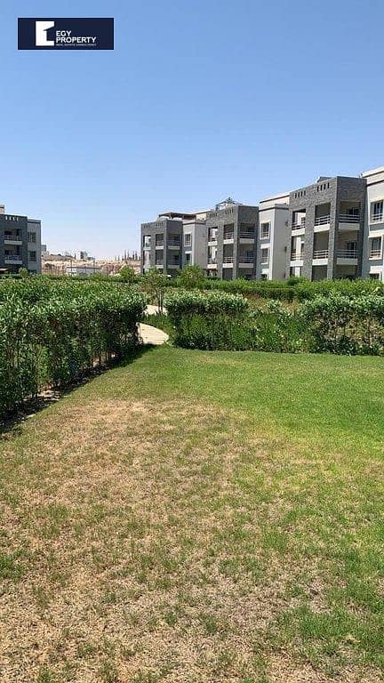 _files_WhatsApp Image 2025-09-14 at 19.49. 43_dbaf725f. jpg