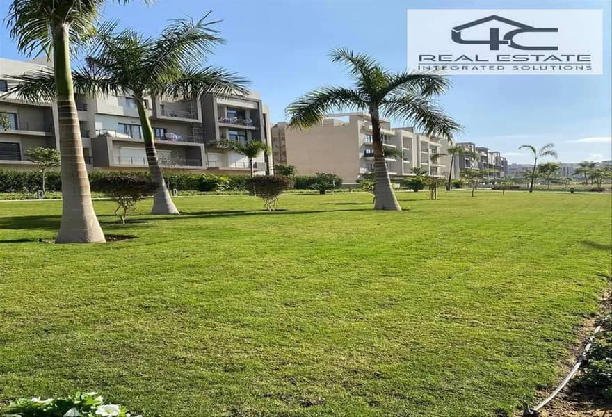 11 5948904-bef17o. png