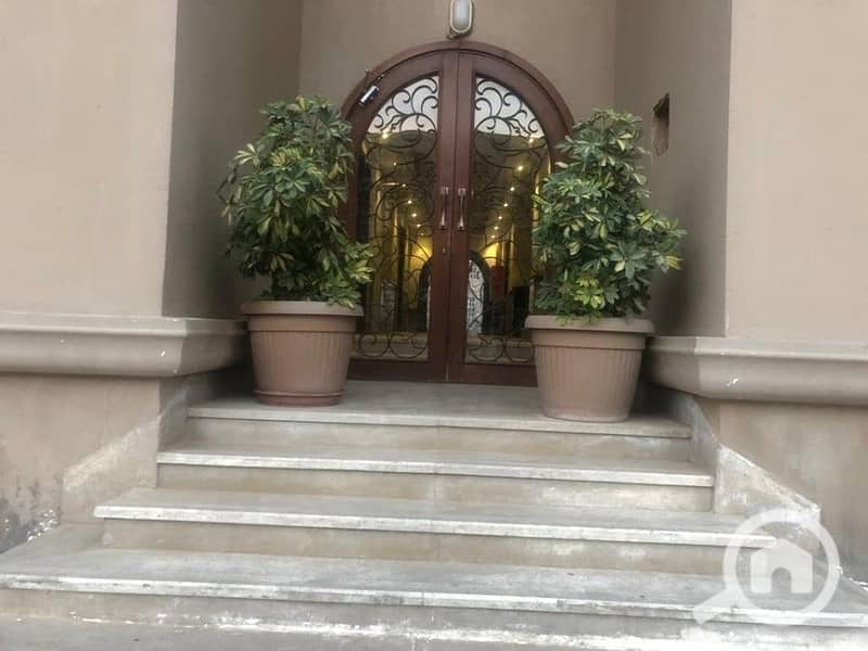 6 241812656_6515198671884393_8604960905135832814_n. jpg