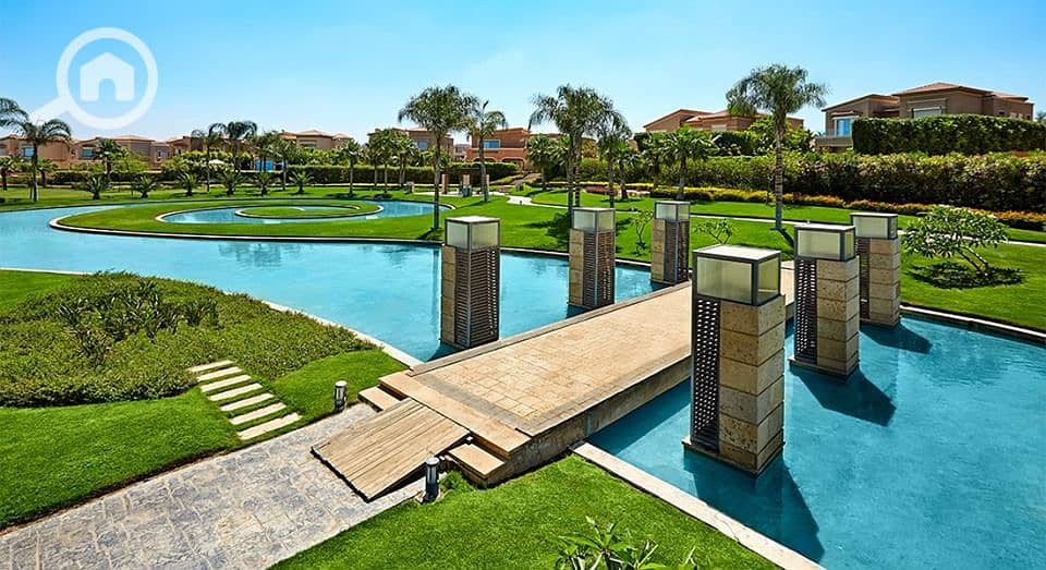 10 88268518_489917765229893_9075761325220560896_n. jpg