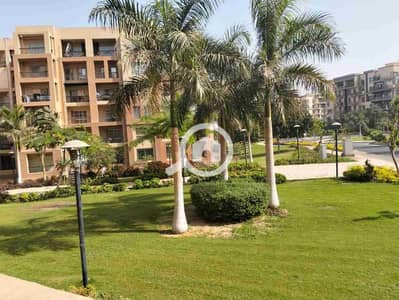 3 Bedroom Flat for Rent in Madinaty, Cairo - 1000686156. jpg 3 Bedroom Flat for Rent in Madinaty, Cairo - 1000686156. jpg