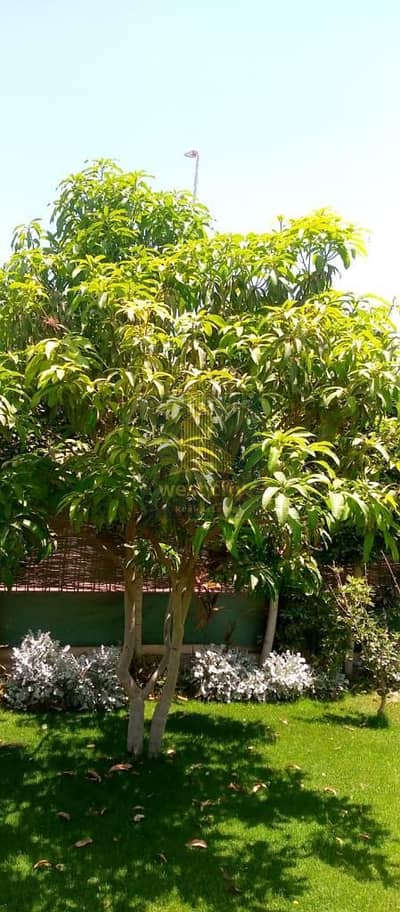 توين هاوس 5 غرف نوم للبيع في الشيخ زايد، الجيزة - 2ae8f52c-3194-4d9e-b9fe-f87516488cbb - Copy. jpg