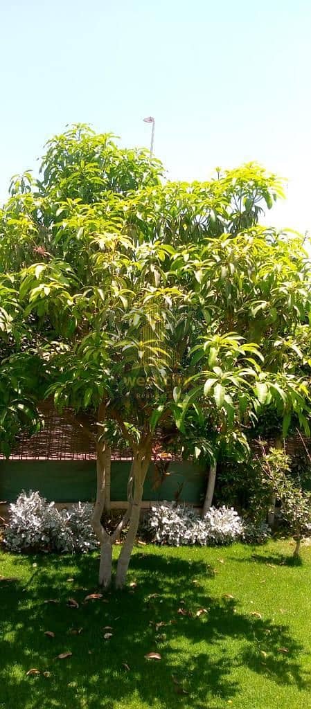 2ae8f52c-3194-4d9e-b9fe-f87516488cbb - Copy. jpg 2ae8f52c-3194-4d9e-b9fe-f87516488cbb - Copy. jpg