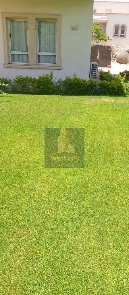 3 439d54e1-48ac-4f27-a62c-e53a01df90b6. jpg