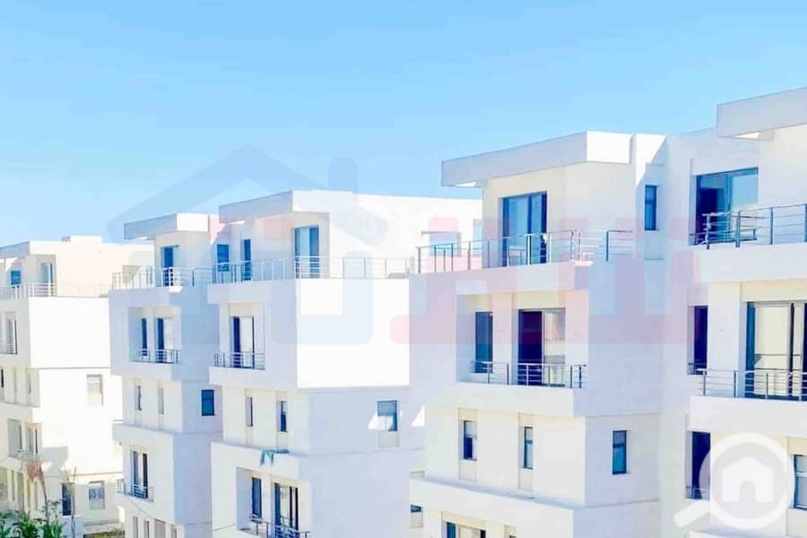 5 WhatsApp Image 2025-09-13 at 5.38. 51 PM (2). jpg