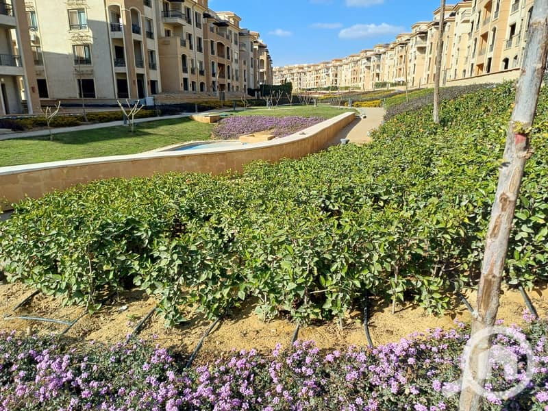 7 WhatsApp Image 2024-04-15 at 07.43. 57_a2500a19. jpg