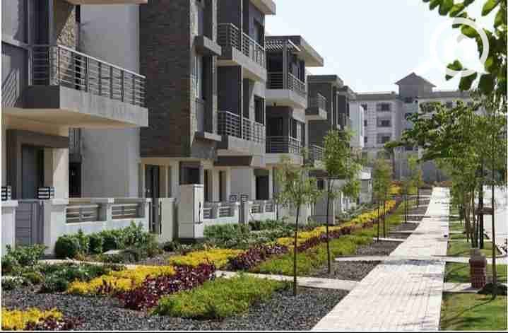 2 IMG_٢٠٢٥١٠٠٣_١٨٠٦٠٦. jpg