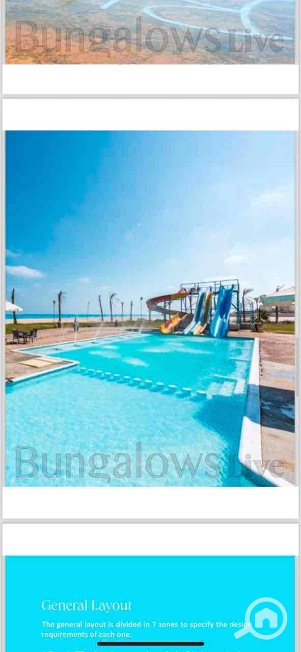 7 4c481ef2-e8f3-4f49-8be4-b958e87f7e2f. jpg