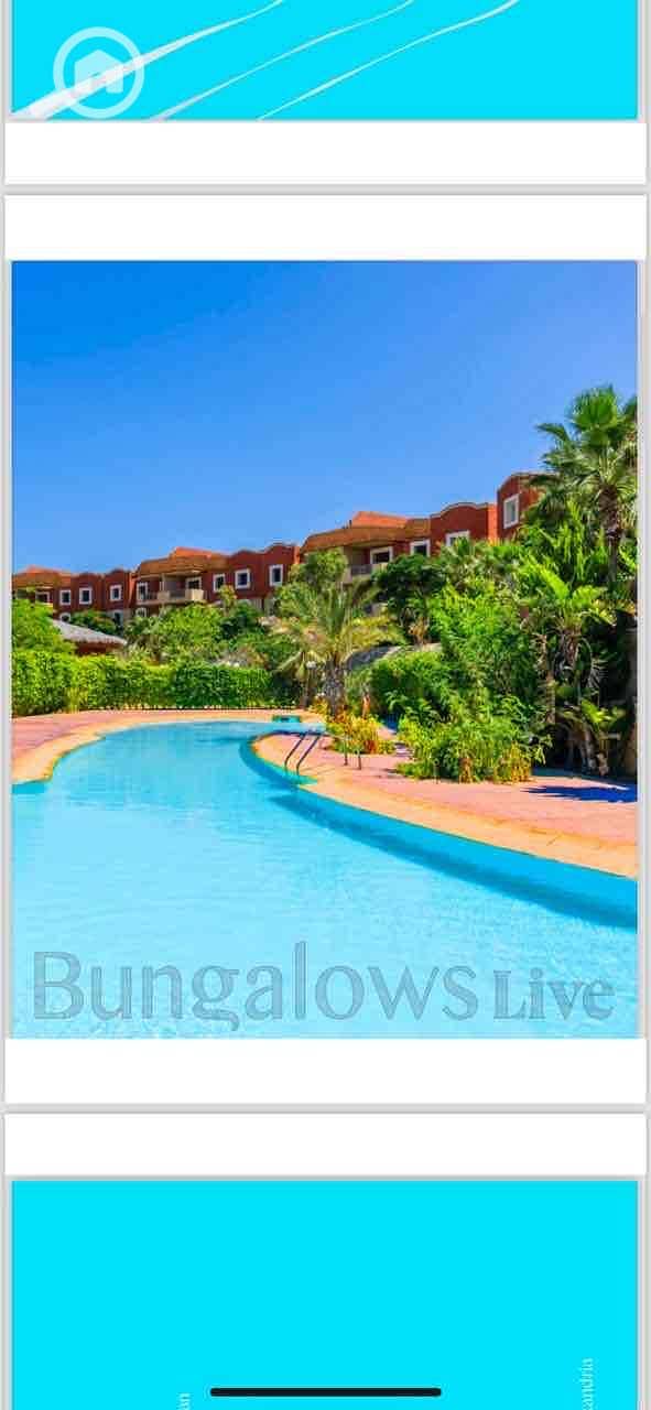 10 9945cbce-36a5-4c96-8b81-f32df3f5326e. jpg