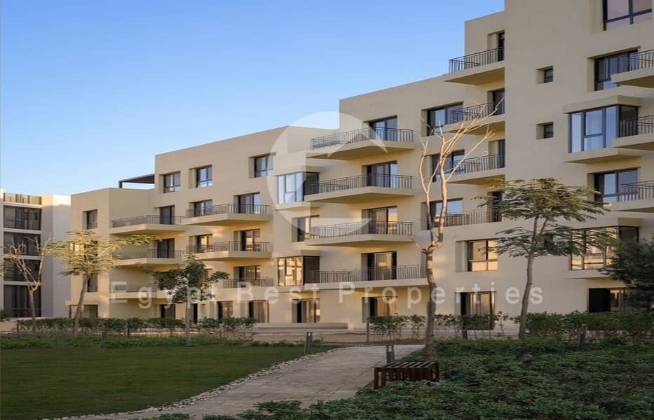 4 WhatsApp Image 2025-09-03 at 12.14. 19_9637a90b (Custom). jpg