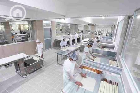 Factory for Rent in New Cairo, Cairo - 1000214196. jpg