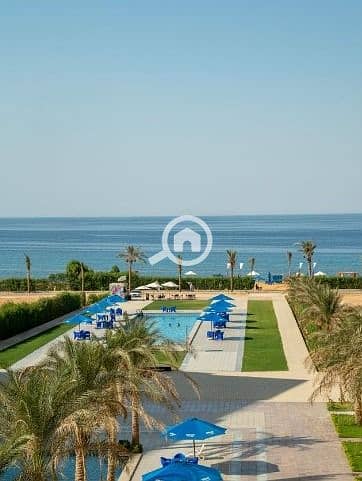 5 79e24476-fd85-4d19-86c5-9afd5b6c2ad2. jpg