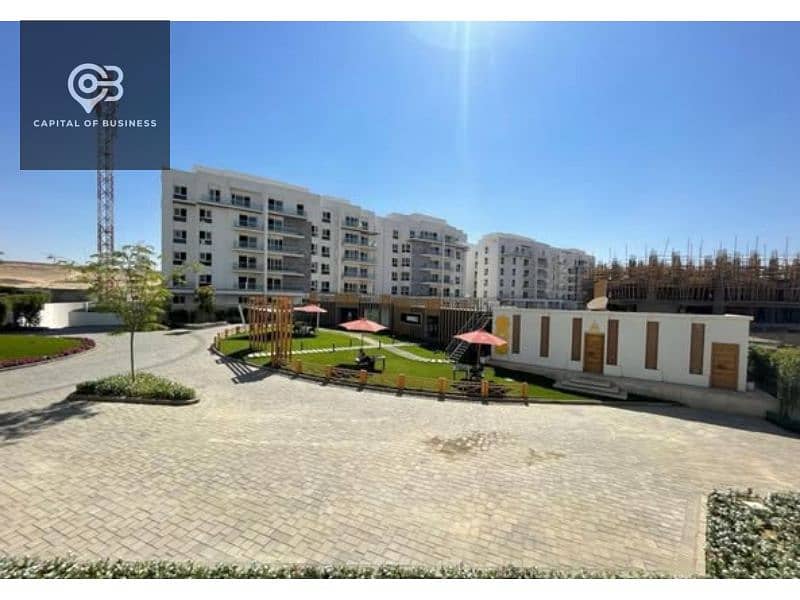 11 469613153_122155334186371958_708401717068977663_n. jpg