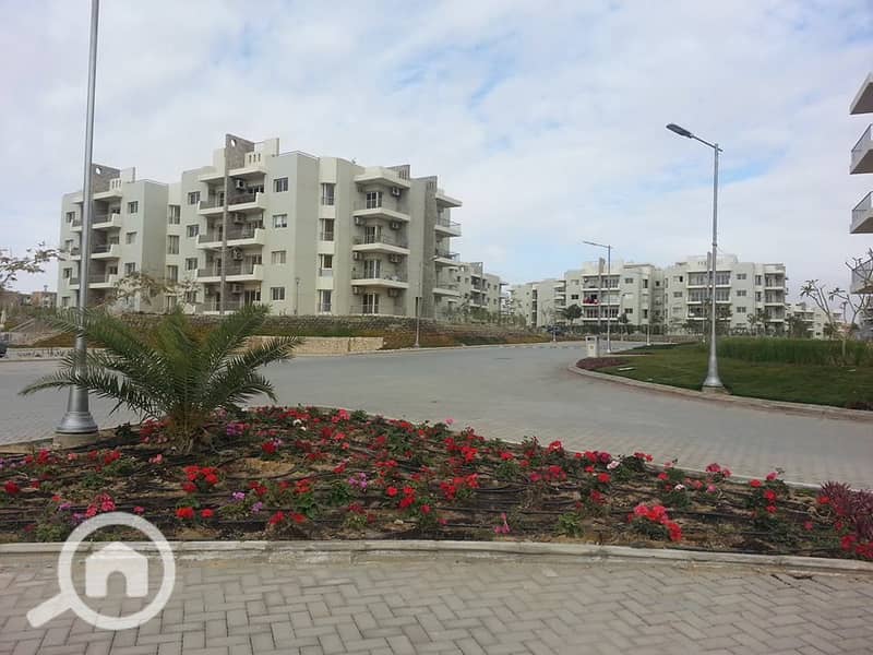 11 12631497_10154010492201454_3569997096489960777_n. jpg