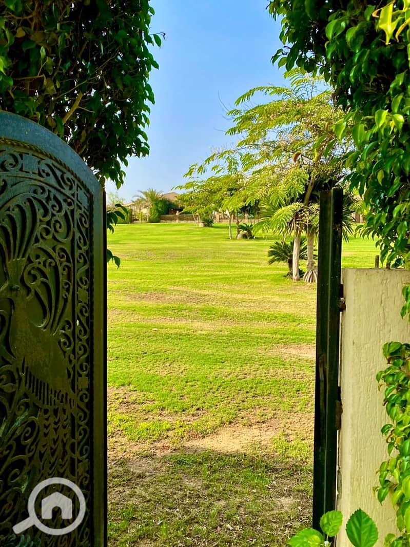 6 WhatsApp Image 2025-11-06 at 17.39. 05_ca8693ef. jpg