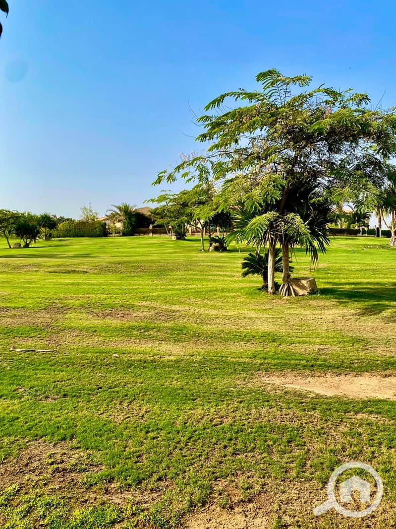 7 WhatsApp Image 2025-11-06 at 17.39. 04_65f5d3ec. jpg