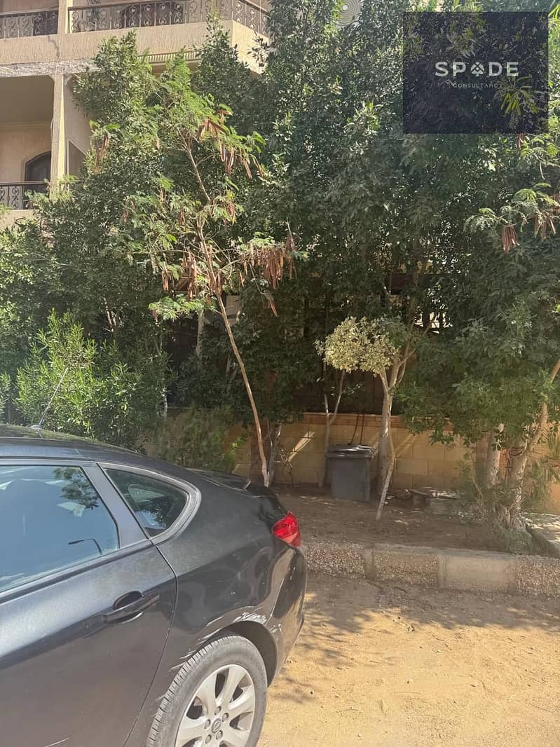 17 IMG-20251111-WA0026. jpg