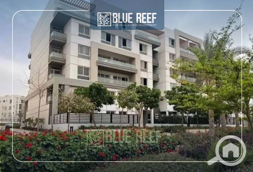 2 Bluereef  - Templete. psdsdfcv bnm. jpg