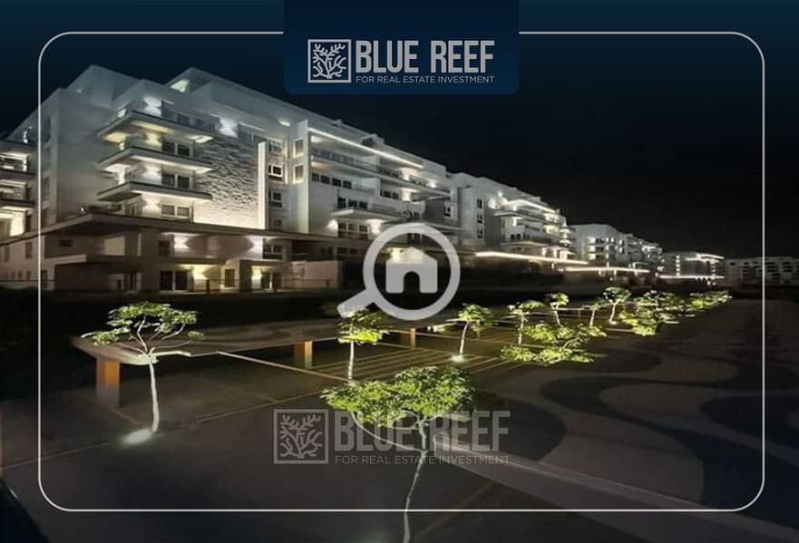 3 Bluereef  - Templete. psdsdfcv fghjk. jpg