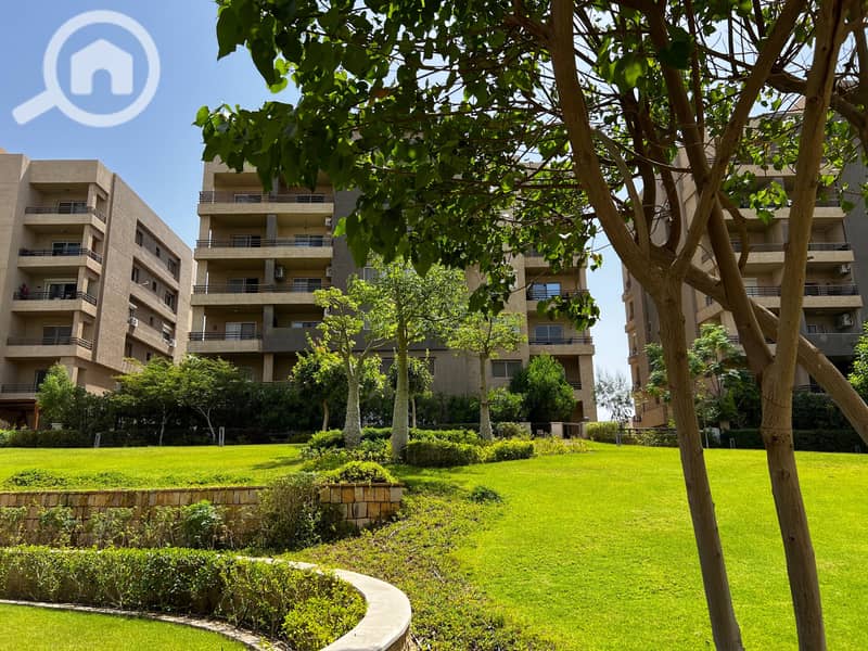 7 32383be3-38d4-4b81-9059-a72863e91ec3. jpg