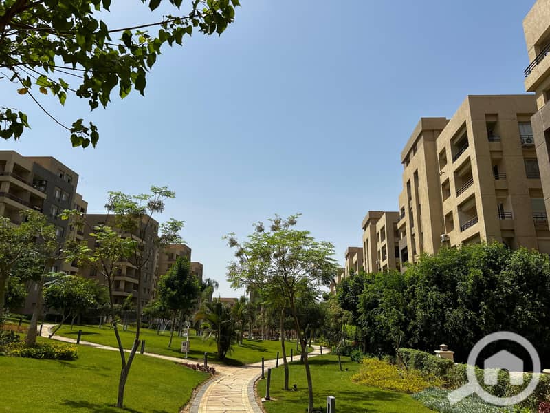 9 712265d5-b33b-4b0c-86dc-7169a02f7efc. jpg