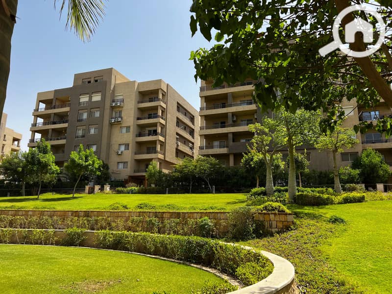 11 ad38e1af-1df3-4a63-ab72-4e865f621ef3. jpg