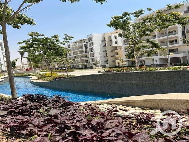 4 2eb8fa16-4bbd-4ddc-947e-e67815679b47_800x600. jpg