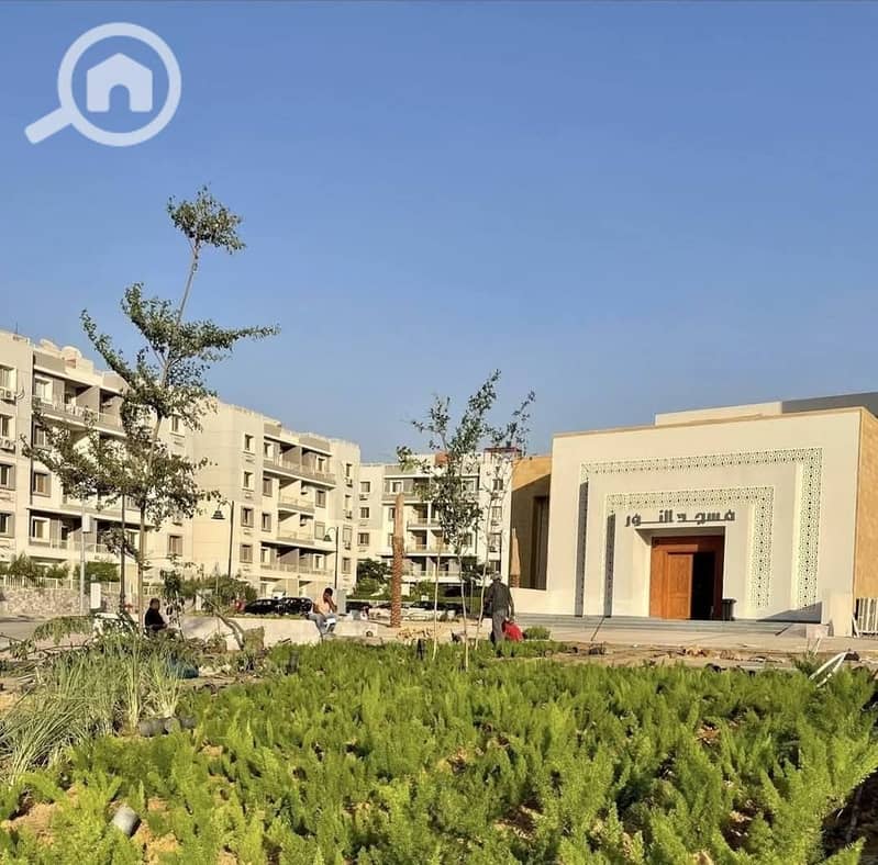 5 556694228_2460075741041767_9124784293348759416_n. jpg