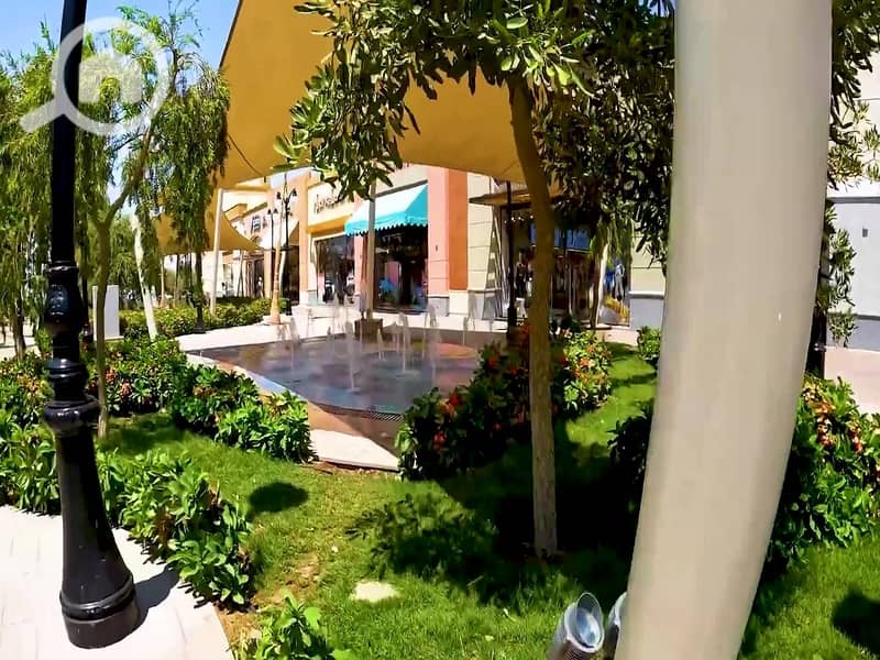 7 61c5b669-e27e-4ff0-a1a9-5f754f3a4b51. jpeg