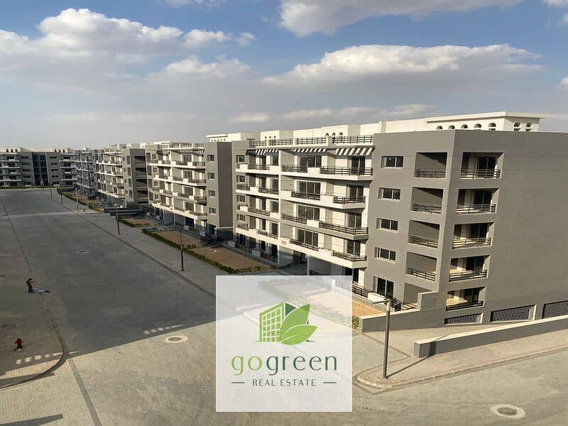 WhatsApp Image 2025-09-24 at 1.06. 30 PM (2). jpeg