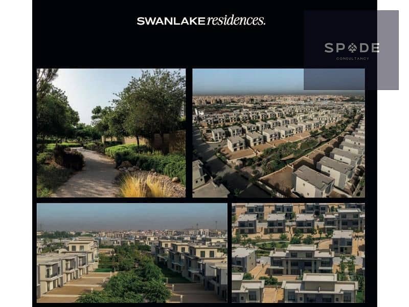 2 225c4e9d-219c-4af1-bffc-59e379cd4eb1. jpg