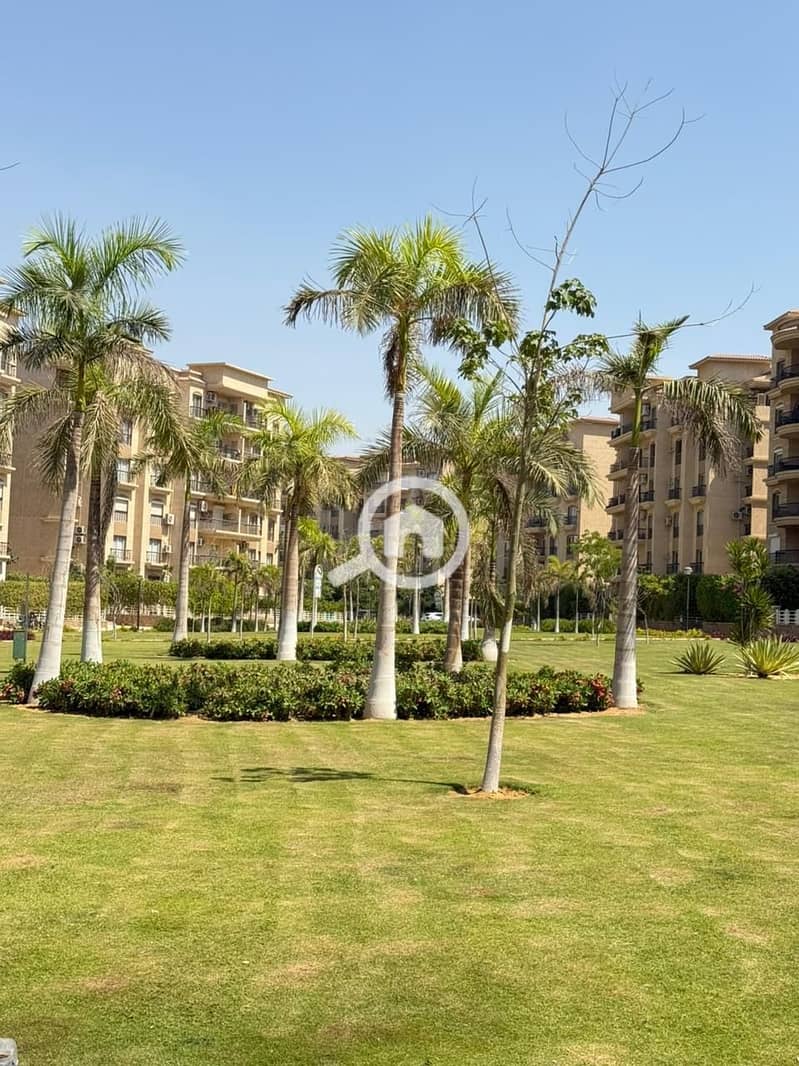 8 578707068_122109957447051922_4824450138855689709_n. jpg