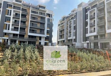 2 646237c40058e005155066. jpg