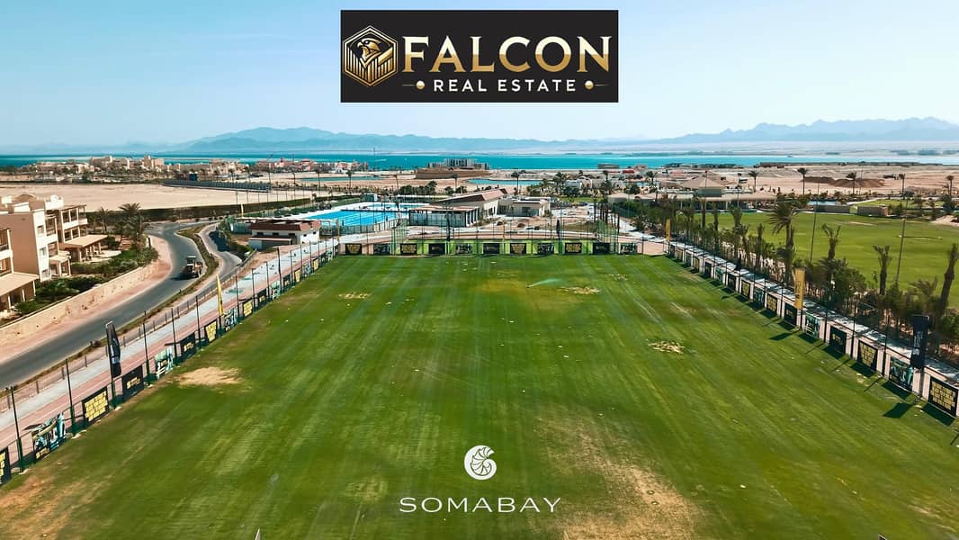 11 9424fe8d-5210-4c8b-afa5-f616a444dda1. jpg