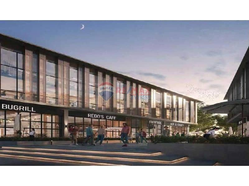 3 مول-ذا-ترين-الشيخ-زايد. jpg